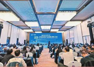 河南“芯”闪烁——2025半导体资料财产成长（郑州）大会侧记